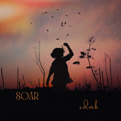 Soar