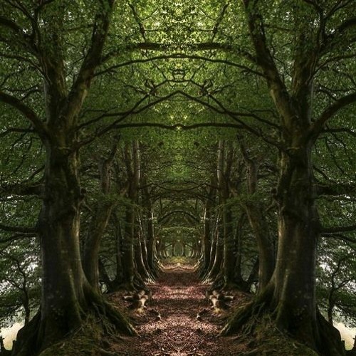 RealityCode @ Swampy Conscience 29/10/2022
