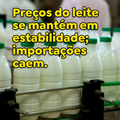 Preços do leite se mantém em estabilidade; importações caem