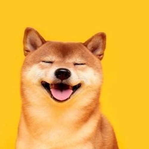 who let the dogs out (remix) leak