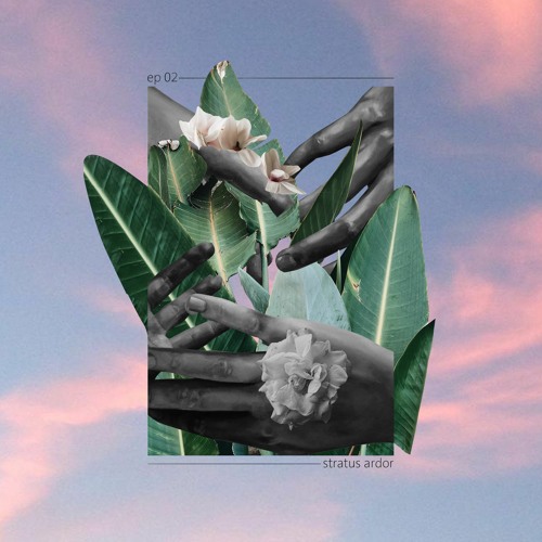 tundral w/ vast moyie