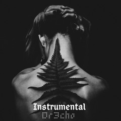 lost (Instrumental)