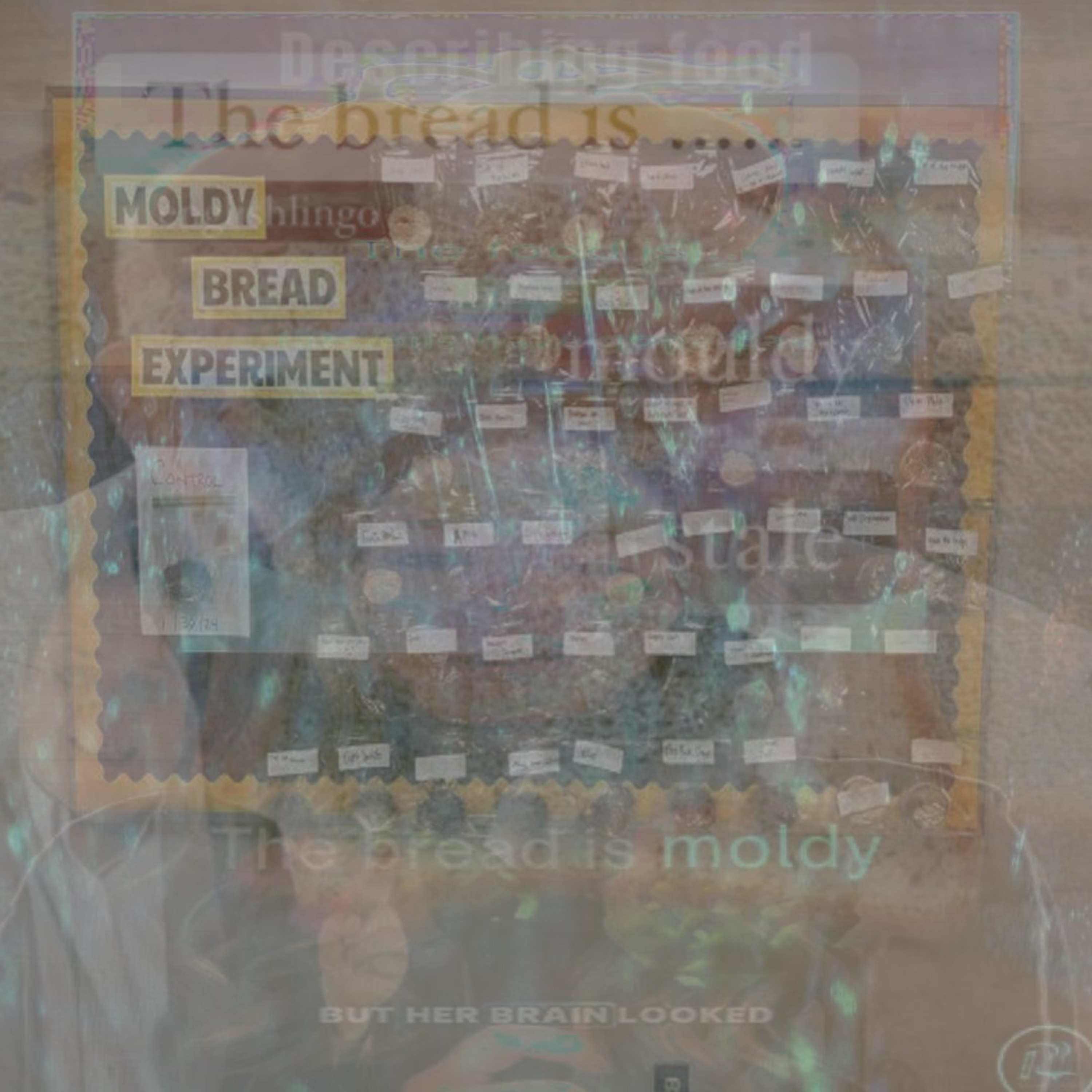 moldy speeches episode artwork