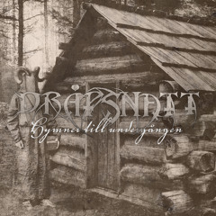 En ensam sol går ner