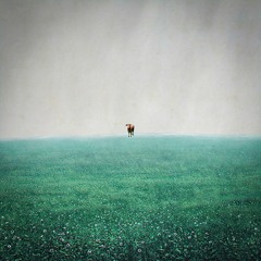 The Backrooms Level 756 - "On big island lives only one cow."
