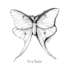 overture (who am i among stars)