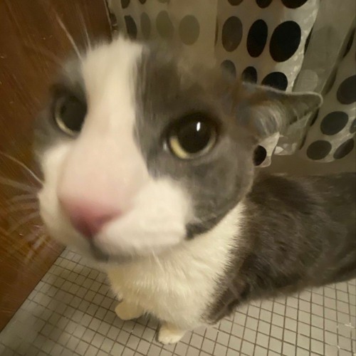 Playlist Nhạc Lofi Speed Up Chill cho những ai đang buồn