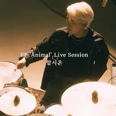 쏜애플(THORNAPPLE) - 할시온  (EP  Animal  Live Session)