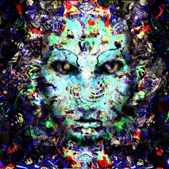 SUNHEAD/THUNDERVISH - Willowcat