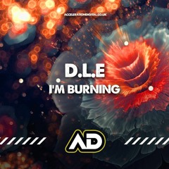IM BURNING (OUT NOW ACCELERATIONDIGITAL.CO.UK)