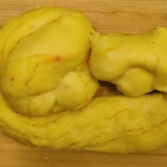 en dagboksanteckning.