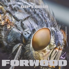 Forwood - Dipteria (Original Mix)