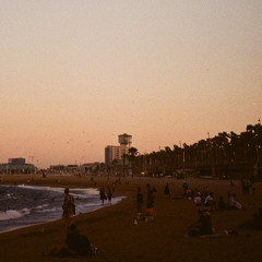 Summer Evening