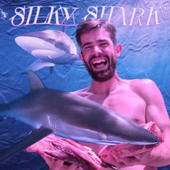 djSet : Silky Shark