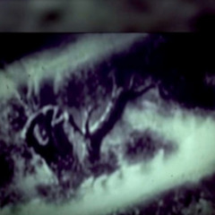 Seedling {ft.ѪȺЯłⱠұи Ѫⱥ₦₴Øи}