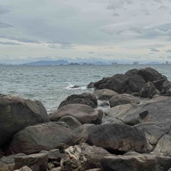 damemorieS.23 ( ft. NgLee )