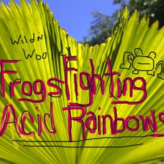 FROGS FIGHTING ACID RAINBOWS