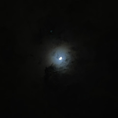 متسائلاً ما الحُب قلت انا هو ..