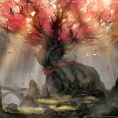 Kioto