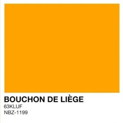 63KLUF - BOUCHON DE LIÈGE