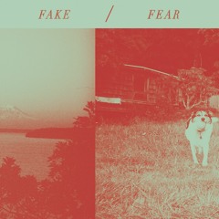 Fake / Fear