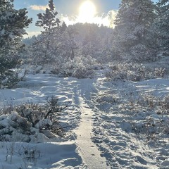 Sun Snow Track