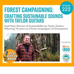 Forest Campaigning: Crafting Sustainable Sounds with Taylor Guitars