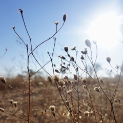 Deep End (Holly Humberstone cover)