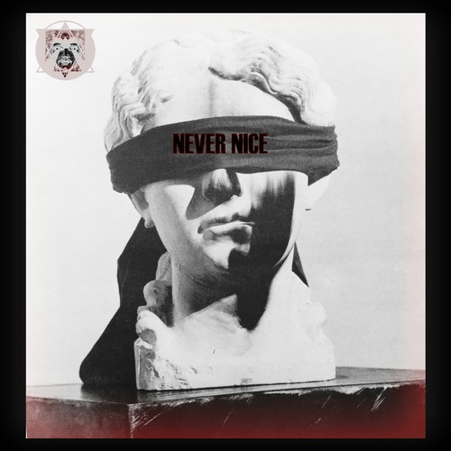 NEVER NICE