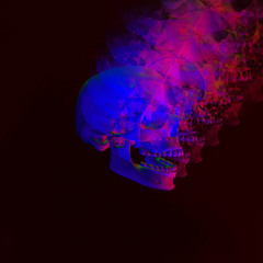 Premiere: R.I.P. Bestia - Esperanza Cubana [Natura Sonoris]