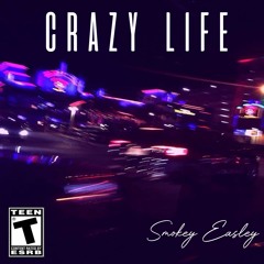 Crazy Life