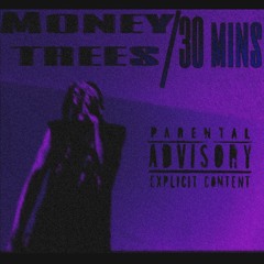Vinci! - 30 mins/Money trees