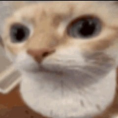 paper thin prod.sickboi