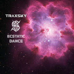 Traxsky @ Ecstatic Dance (UK) - 06