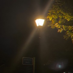 Wishing Well (p. plxce)