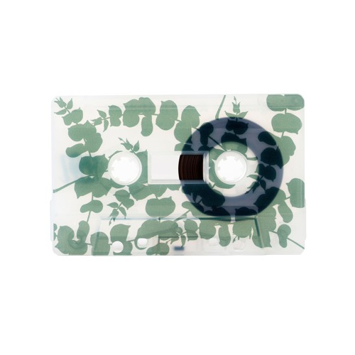 Expugnantis - Configure (ENMS-04)