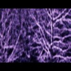 Flaws And All  (practice mix)