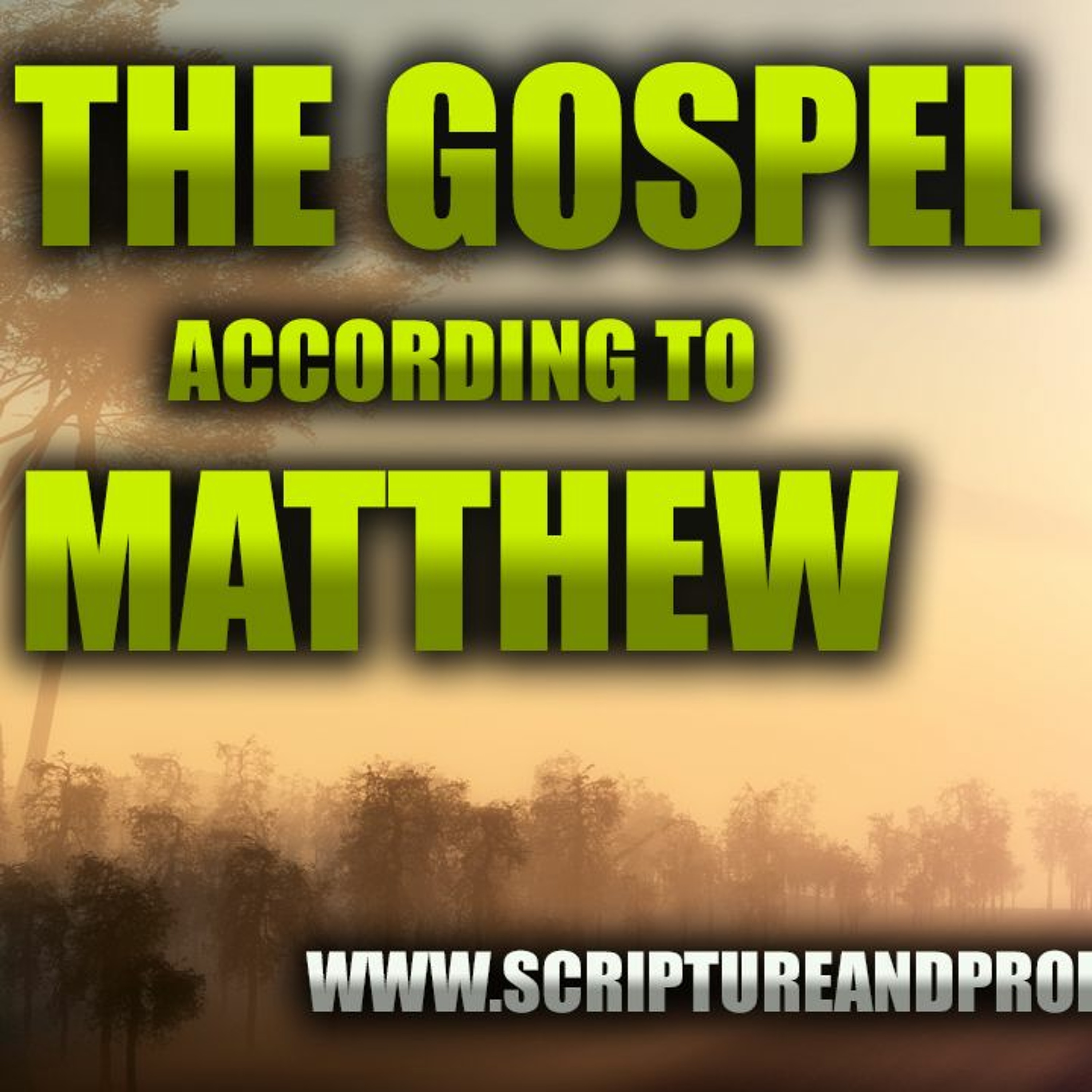 The Gospel of Matthew Chapter 21: The Parable of the Two Sons & Parable of the Tenants