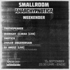 SMALLroom x anarchypnotica 13.09.2024 - snutsch