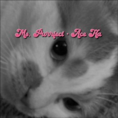 Ms. Purrfect (Produced By Ace Ha)