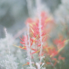 little little things [RIP MF DOOM] (day twenty four)