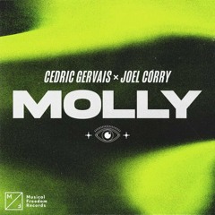 Cedric Gervais, Joel Corry vs Reblok - Molly ? No Signal ! (Red Cork Mashup)