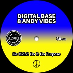 Digital Base & Andy Vibes - He Didn't Do It On Purpose