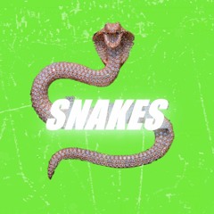 Snakes (Prod. PlutoBrazy x Lucig)