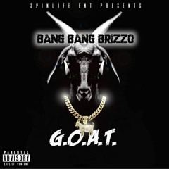 Spin Cycle - Bang Bang Brizzo
