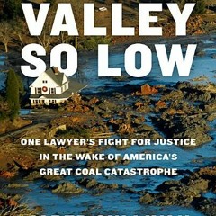 [Download PDF] Valley So Low: One Lawyer's Fight for Justice in the Wake of America's Great Coal Cat