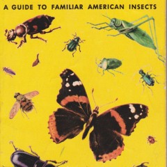 kindle online Insects: A Guide to Familiar American Insects