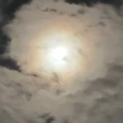 moonlight