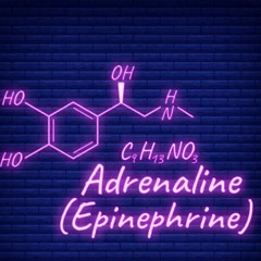 Adrenaline (Prod. By TJ.Hunt)