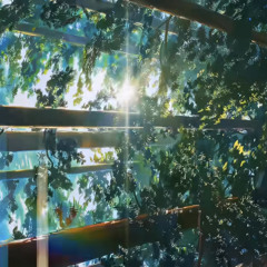 Sycophant - Wanted To